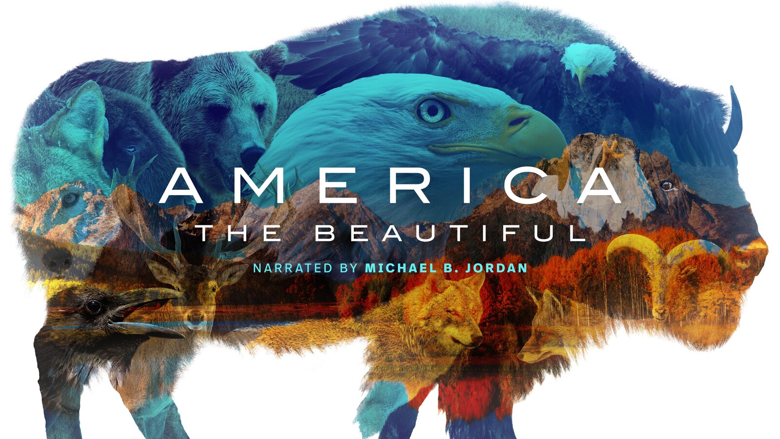 America the Beautiful double-exposure bison poster