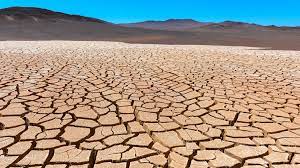Cracked drought land