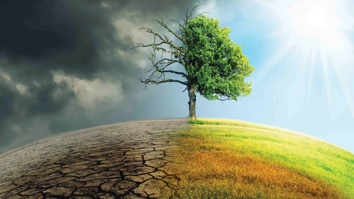 Tree on half-drought half-green globe illustration
