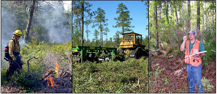 Land management triptych: prescribed burn, tractor, surveyor