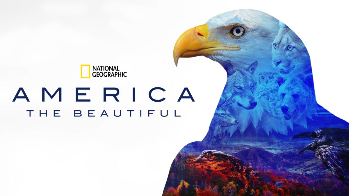 National Geographic America the Beautiful eagle graphic