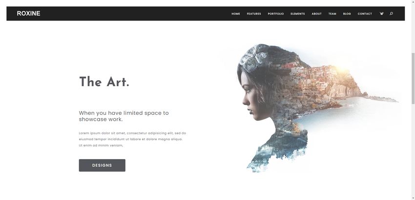 Roxine portfolio site reference