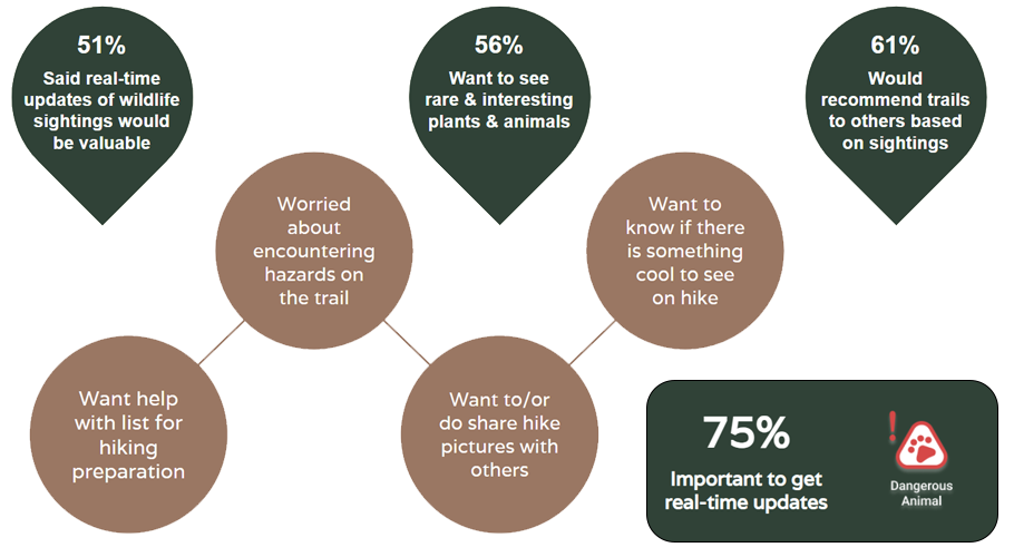 Main User Insights