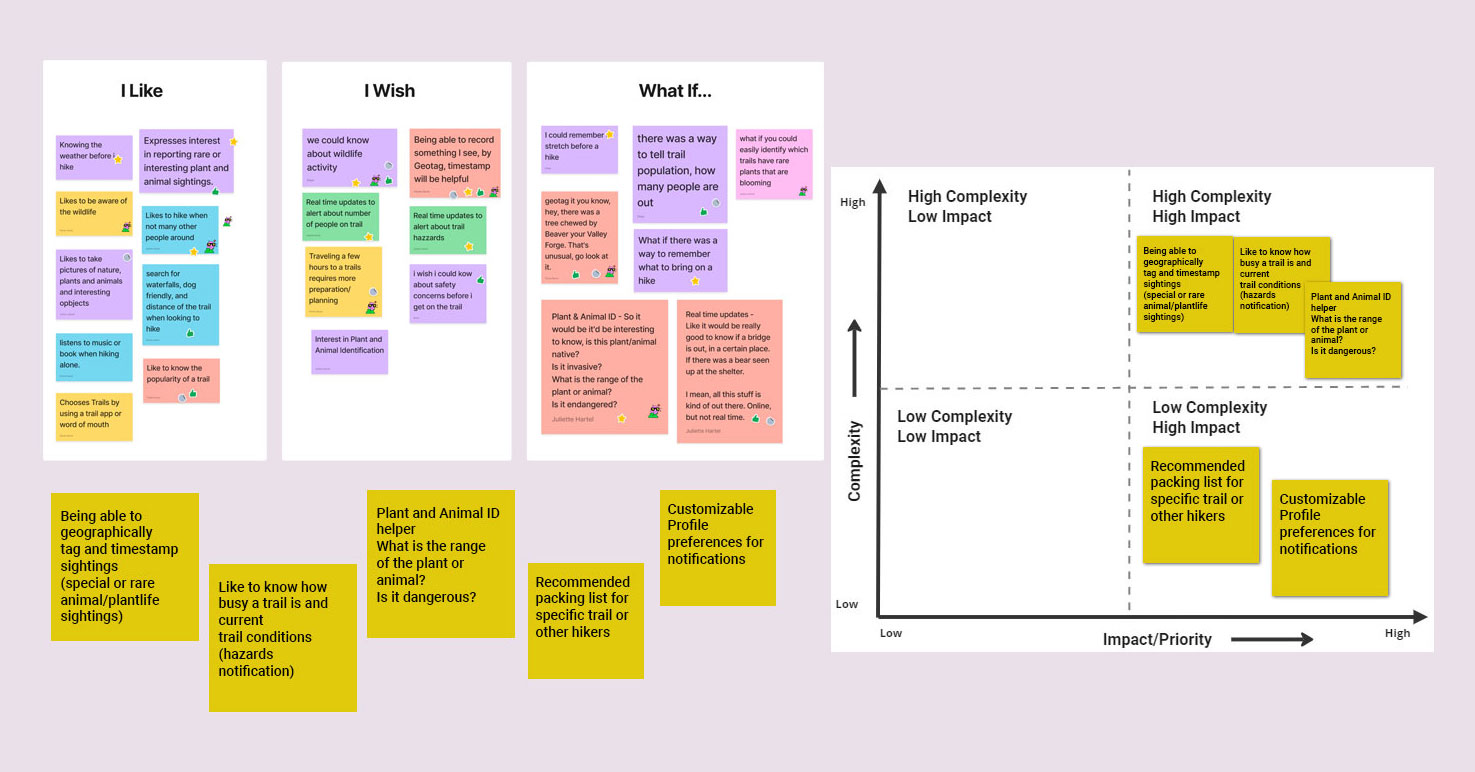 Features & Prioritization Matrix