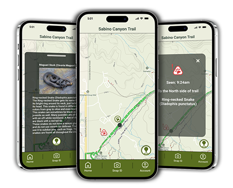 three phones with app screens